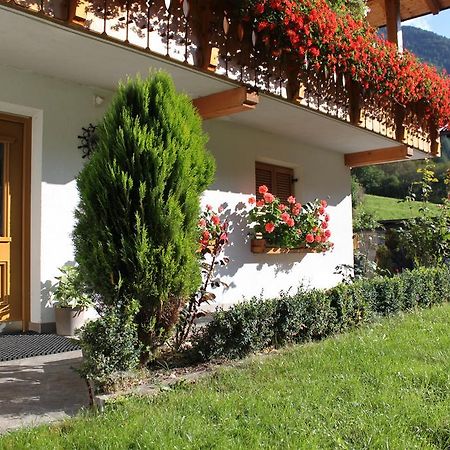 Haus Kofler Apartment Casateia Exterior foto